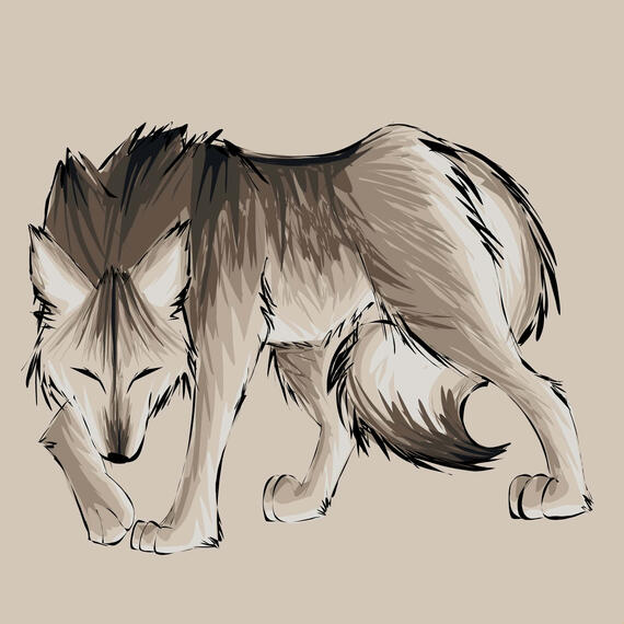 Wolf